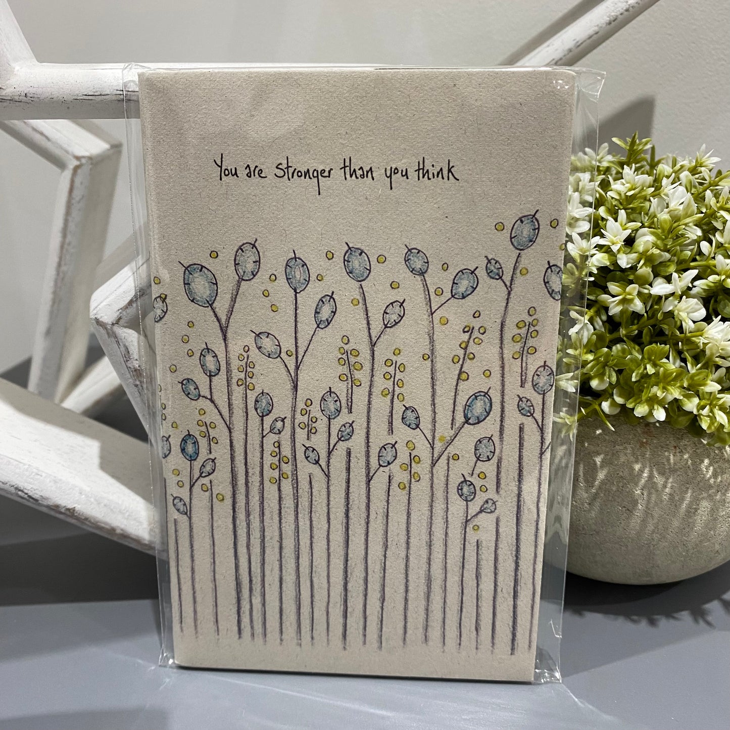 Notebooks - choice of styles