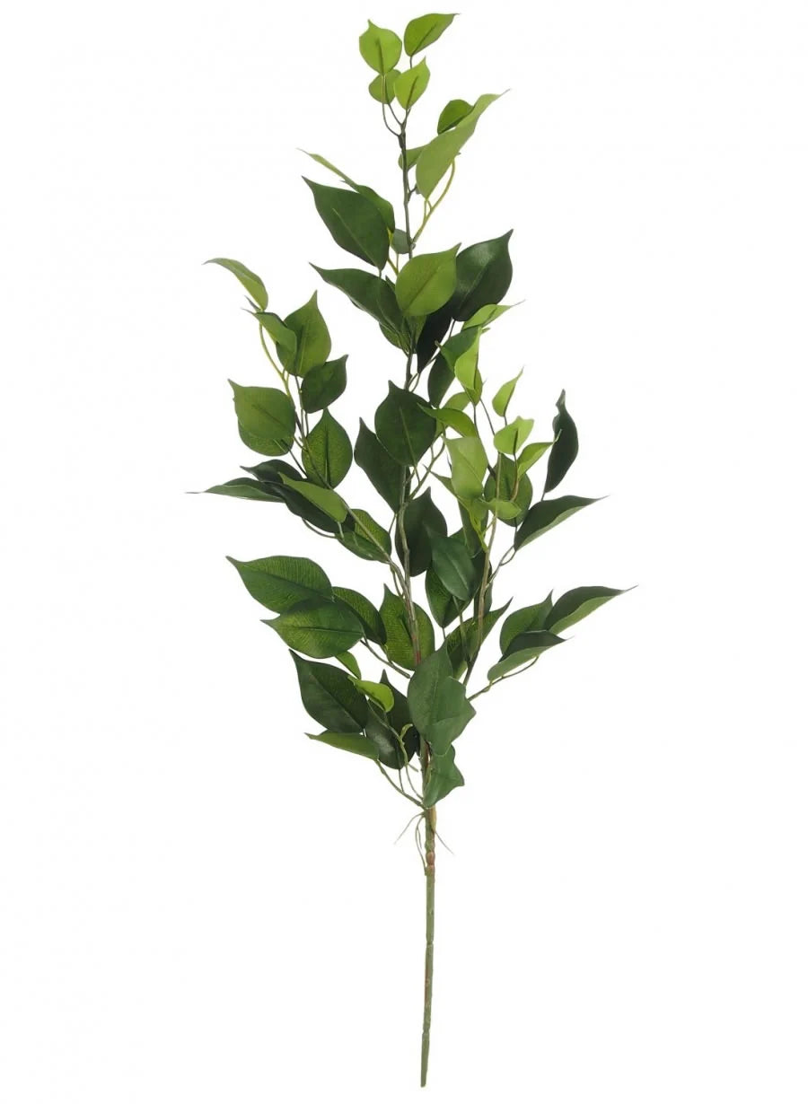 Bay Leaf spray 70cm