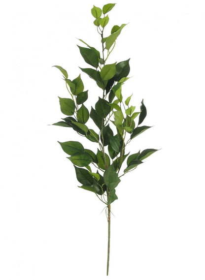 Bay Leaf spray 70cm