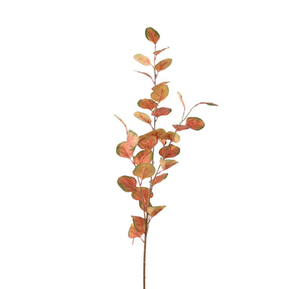 Silver Dollar Eucalyptus Stem – 72cm