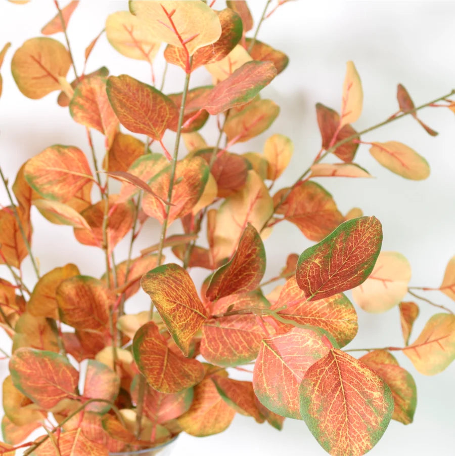 Silver Dollar Eucalyptus Stem – 72cm