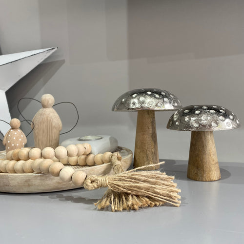 Set of 2 Cute mushrooms