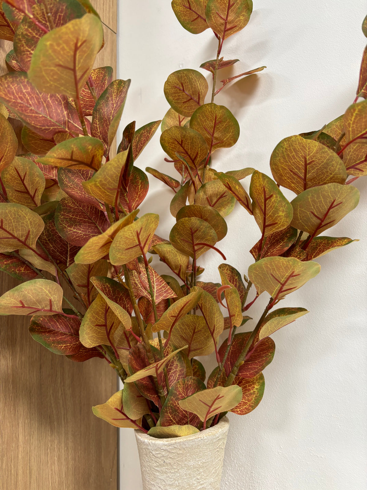 Silver Dollar Eucalyptus Stem – 72cm
