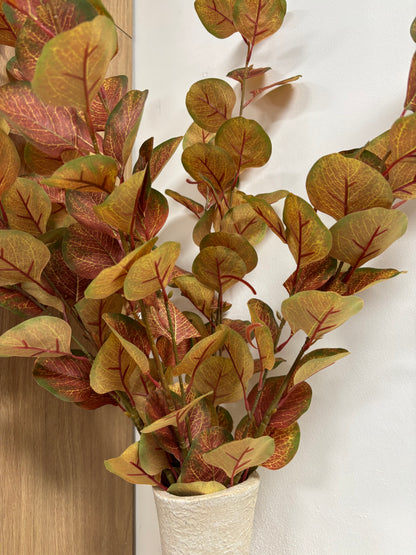 Silver Dollar Eucalyptus Stem – 72cm