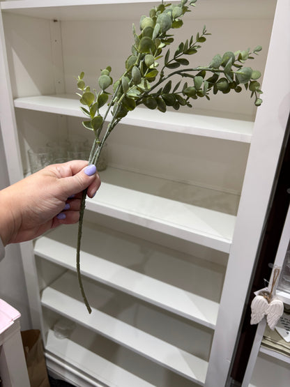 Mini Eucalyptus - 48cm per stem