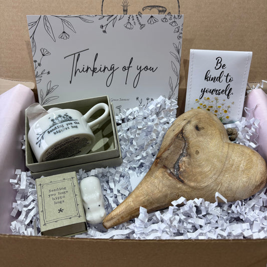 Sending you hippo hugs gift box