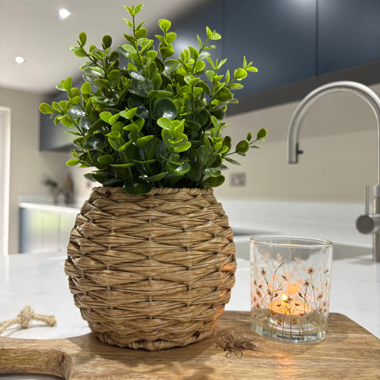Herbs in Round Rattan Pot