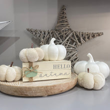 Load image into Gallery viewer, Led White Textured Pumpkin - 2 sizes