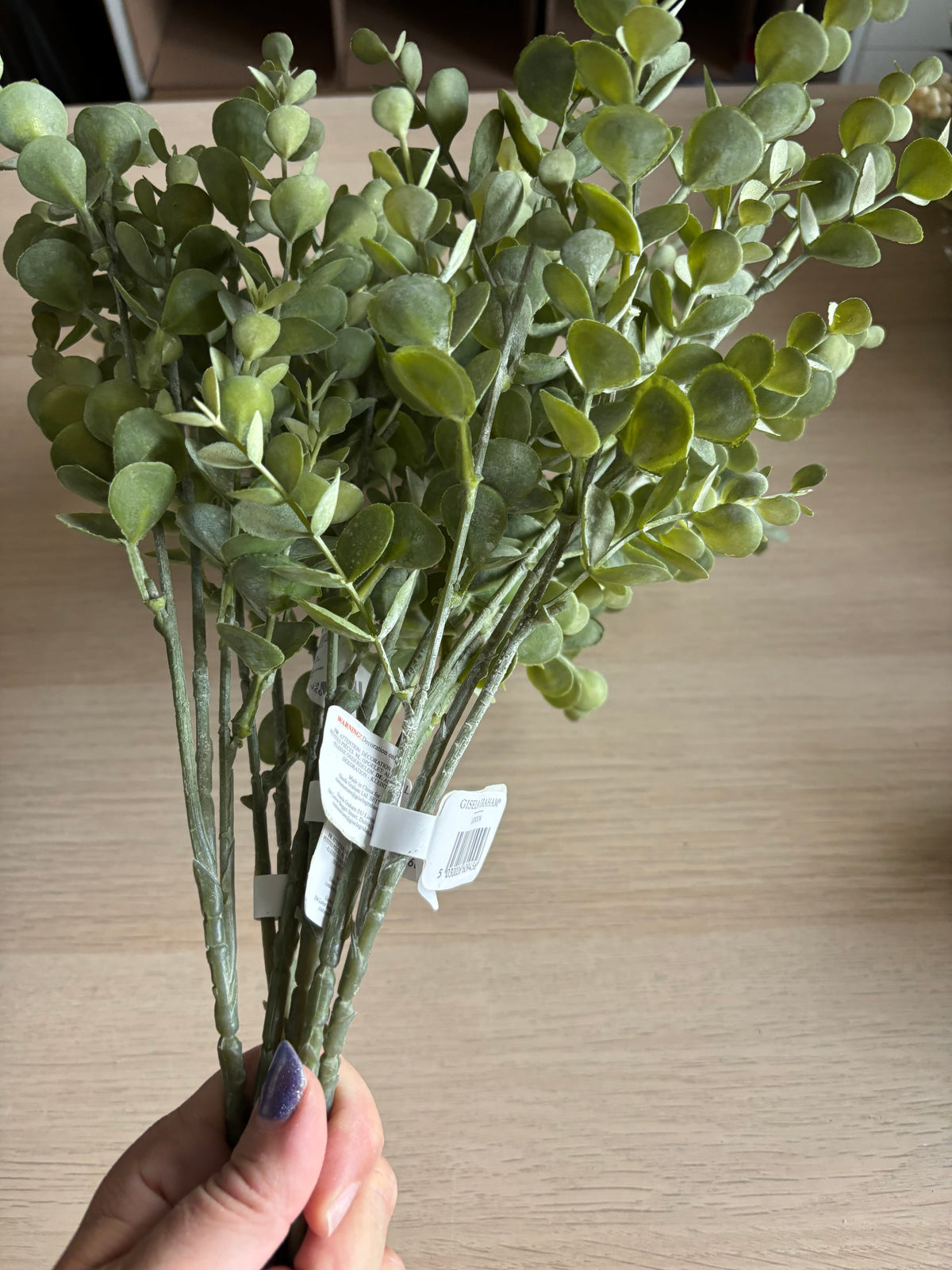 Mini Eucalyptus - 48cm x 6 stems