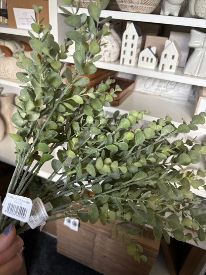 Mini Eucalyptus - 48cm x 6 stems