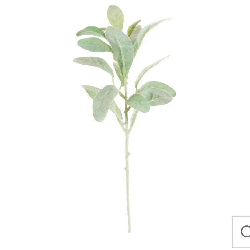 Lambs Ear Stem 37cm
