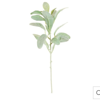 Lambs Ear Stem 37cm