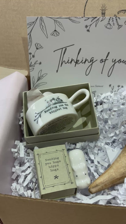 Sending you hippo hugs gift box