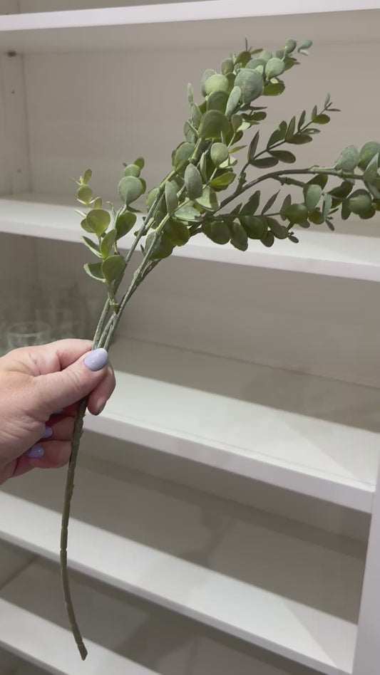 Mini Eucalyptus - 48cm per stem
