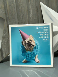 Born to be wild greeting card