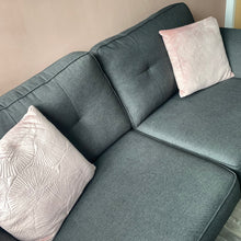 Load image into Gallery viewer, Pink Velvet Ginko Printed Velvet Cushion